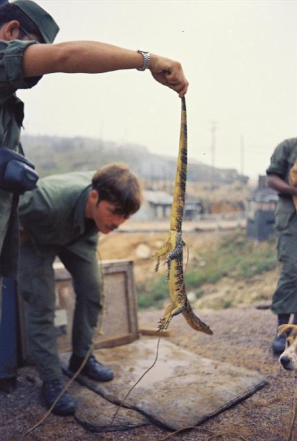 AVisitor.jpg - A Visitor